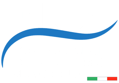 I.B.G logo